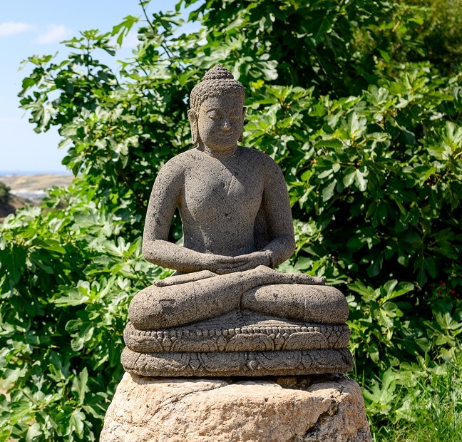 budda statue